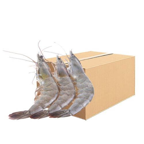 กุ้งขาว 10 กก. (31-35 ตัว/กก.) 1 ลัง