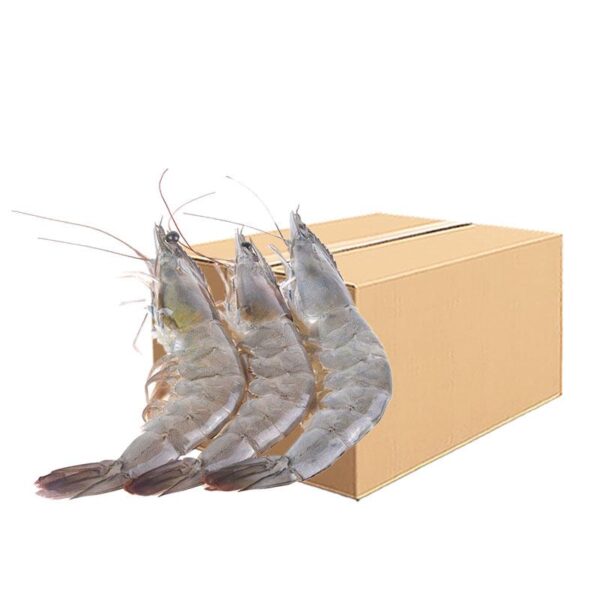 กุ้งขาว 10 กก. (31-35 ตัว/กก.) 1 ลัง