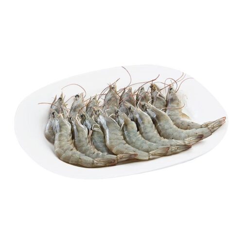 กุ้งขาวเล็ก 1 กก. (90-100 ตัว/กก.)