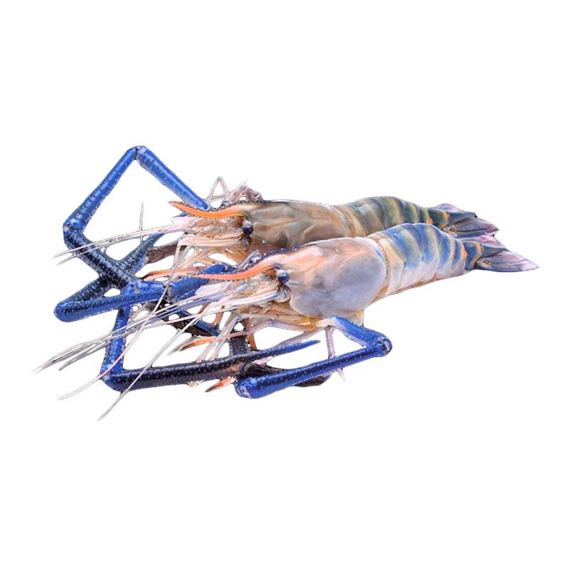กุ้งแม่น้ํา (7-10ตัว/กก.) กก.ละ