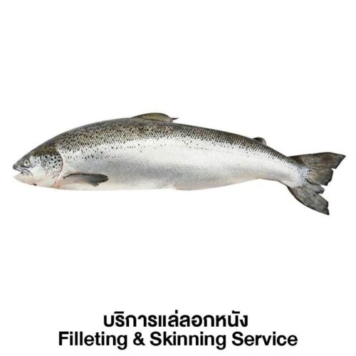 ปลาแซลมอนสดนอร์เวย์ บริการแล่ลอกหนัง 1 ตัว (ประมาณ 4-5 กก./ตัว)