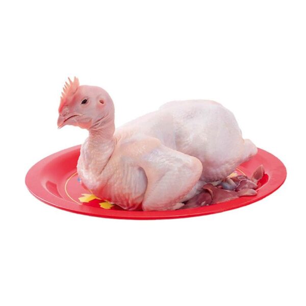 ไก่ทั้งตัวพร้อมเครื่องในแช่แข็ง 1.8-2.0 กก./ตัว
