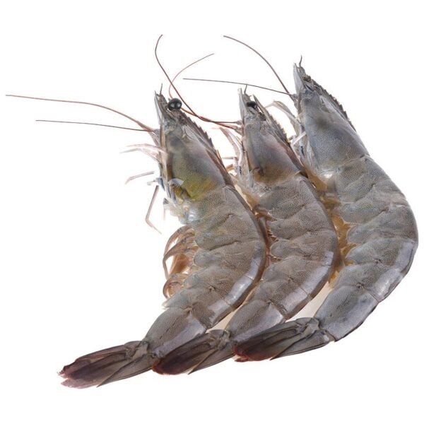 กุ้งขาวจัมโบ้ แช่แข็งละลาย กก.ละ