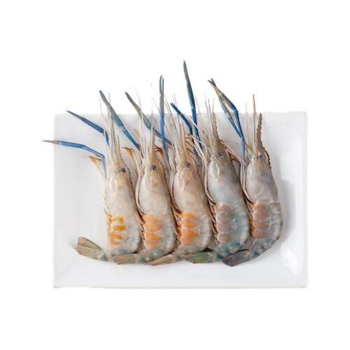 กุ้งนางใหญ่ กก.ละ